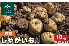 北海道 倶知安 じゃがいも 男爵 10kg リストファーム サイズ 混合 馬鈴薯 芋 ポテト イモ 産地直送 野菜