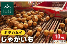 北海道 倶知安 じゃがいも キタカムイ 10kg リストファーム サイズ 混合 馬鈴薯 芋 ポテト イモ 産地直送 野菜