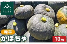 北海道 倶知安 かぼちゃ 味平 10kg リストファーム サイズ 混合 南瓜 カボチャ パンプキン 産地直送 野菜