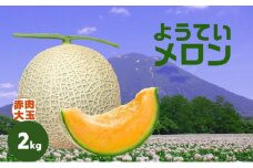 【 2025年発送 】先行予約 北海道 赤肉メロン 大玉 約2kg 1玉 メロン 赤肉 果物 フルーツ 甘い 完熟 スイーツ デザート 産直 国産 贈答品 お祝いギフト羊蹄山 JAようてい