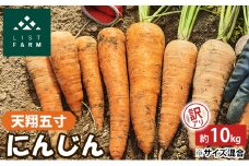 【 訳アリ 】 人参 約 10kg 9月 収穫 予定 リストファーム サイズ 混合 天翔五寸 にんじん 産地直送 野菜