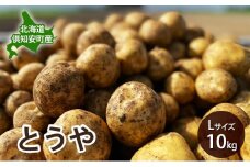 北海道 倶知安 産 じゃがいも とうや L サイズ 10kg 馬鈴薯 いも 芋 グリーンアースファーム 農家 直送 野菜 産地直送