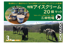 【3ヵ月定期便】アイス 三田牧場 特製 アイスクリーム 20個セット ミルク チョコレート いちごみるく ラムレーズン 抹茶