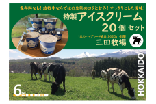 【6ヵ月定期便】アイス 三田牧場 特製 アイスクリーム 20個セット ミルク チョコレート いちごみるく ラムレーズン 抹茶 