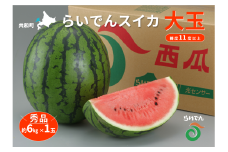 2025年 7月 出荷 先行予約 スイカ 北海道 共和町産 らいでんスイカ 大玉 約6kg 