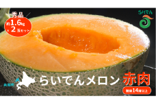 2025年 8月 出荷 先行予約 メロン 北海道 共和町産 らいでんメロン 赤肉 2玉 セット