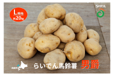 2025年 8月 出荷 先行予約 らいでん 馬鈴薯 男爵 L 規格 約 20kg