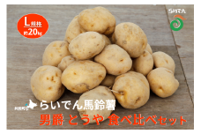 2025年 8月 出荷 先行予約 らいでん 馬鈴薯 食べ比べ 2種 セット 男爵 とうや L 規格 約 20kg