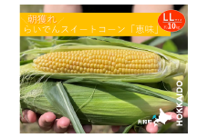 2025年 7月 出荷 先行予約 とうもろこし らいでん スイートコーン 恵味 LL 規格 約10kg