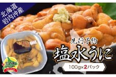 【先行予約】塩水ムラサキウニ100g×2パック 北海道岩内沖産 【2024年7月上旬頃～8月下旬頃発送】 うに 雲丹 F21H-530