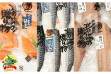 【3ヵ月定期】北緯43度のお土産屋さん 朝食におすすめ！お魚セットA F21H-511