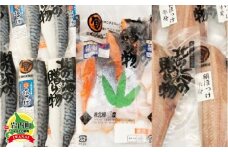 【3ヵ月定期】北緯43度のお土産屋さん 朝食におすすめ！お魚セットB F21H-512