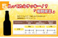 IWANAI BREWERY＆HOTEL クラフトビール 飲み比べ12本セット