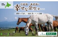 ※連携解除中※【引退競走馬 余生支援】北海道 岩内町 ホーストラスト北海道支援 1万円コース 引退馬 F21H-556