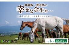 ※連携解除中※【引退競走馬 余生支援】北海道 岩内町 ホーストラスト北海道支援 1万円コース 引退馬 F21H-556