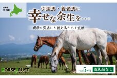 【引退競走馬 余生支援】北海道 岩内町 ホーストラスト北海道支援 5万円コース 引退馬 F21H-558