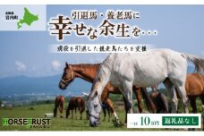 【引退競走馬 余生支援】北海道 岩内町 ホーストラスト北海道支援 10万円コース 引退馬 F21H-559
