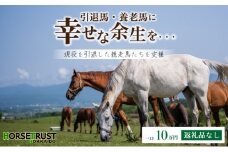 【引退競走馬 余生支援】北海道 岩内町 ホーストラスト北海道支援 10万円コース 引退馬 F21H-559