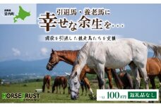 【引退競走馬 余生支援】北海道 岩内町 ホーストラスト北海道支援 100万円コース 引退馬 F21H-561