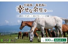 【引退競走馬 余生支援】北海道 岩内町 ホーストラスト北海道支援 100万円コース 引退馬 F21H-561