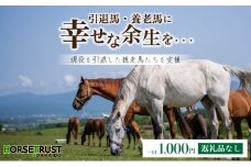 【引退競走馬 余生支援】北海道 岩内町 ホーストラスト北海道支援 1000円コース 引退馬 F21H-569