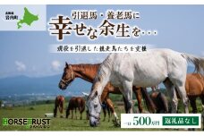 【引退競走馬 余生支援】北海道 岩内町 ホーストラスト北海道支援 500万円コース 引退馬 F21H-571
