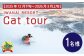 【先行予約】IWANAI RESORT【Cat tour】ticket 1名様 F21H-416