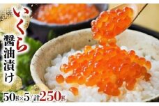 いくら醤油漬け 250g（50g×5）【2026年1月発送】いくら 海鮮 北海道 イクラ 冷凍 醤油漬け 海産物 045-a008-01