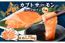 北海道とまりカブトサーモン　ハーフロイン8個【1325168】