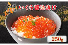 北海道とまり産　いくら醤油漬け 250g×1パック【1353116】