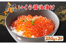 北海道とまり産　いくら醤油漬け　250g×2パック【1353122】