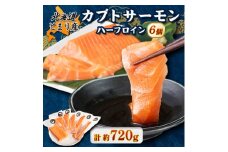 北海道とまりカブトサーモン　ハーフロイン6個(計720g前後)【1567003】