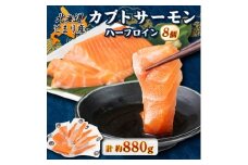北海道とまりカブトサーモン　ハーフロイン8個(計880g前後)【1567010】