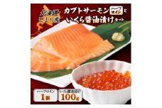 北海道とまりカブトサーモン　ハーフロイン1個(約120g)といくら醤油漬け(100g)セット【1590458】
