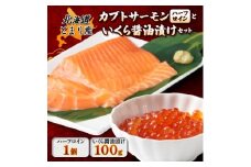 北海道とまりカブトサーモン　ハーフロイン1個(約110g)といくら醤油漬け(100g)セット【1590458】