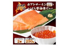 北海道とまりカブトサーモン　ハーフロイン2個(計約240g)といくら醤油漬け(250g)セット【1590459】