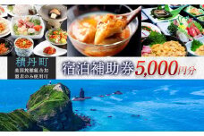美国旅館組合 宿泊補助券 5,000点分