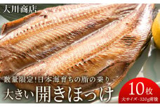 大きい開きほっけ10枚セット＜大川商店＞