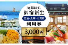 海鮮味処御宿新生 利用券 3	000円分