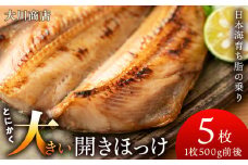 とにかく大きい開きほっけ　5枚＜大川商店＞