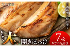 とにかく大きい 開きほっけ 7枚 セット ＜ 大川商店 ＞ ホッケ ほっけ 魚 北海道 干物 冷凍 北海道産