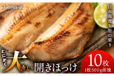 とにかく大きい 開きほっけ 10枚 セット ＜ 大川商店 ＞ ホッケ ほっけ 魚 北海道 干物 冷凍 北海道産