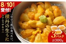 【2025年夏発送分】間も無く！今シーズン出荷終了！ムラサキウニ100g×3パック