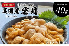 【期間限定】美国産雲丹40g ミニウニ丼サイズ 北海道 ウニ うに　「2025年8月24日決済分まで年内発送」
