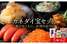 カネダイ宝 5種 セット タラコ 数の子 タコ いくら 魚介 北海道 積丹 ＜ 大川商店 ＞