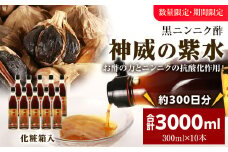 黒ニンニク酢（神威の紫水）3000ml（300ml×10本）