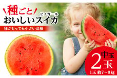 【2025年夏発送】スイカ 中玉 2玉 7～8kg