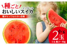 【2025年夏発送】スイカ 小玉 2玉 3～4kg