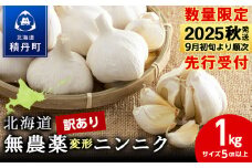 【数量限定】訳あり無農薬変形ニンニク1kg（500g×2袋）玉 変形 無農薬 にんにくガーリック