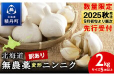 【数量限定】訳あり無農薬変形ニンニク2kg（500g×4袋）玉 変形 無農薬 にんにくガーリック